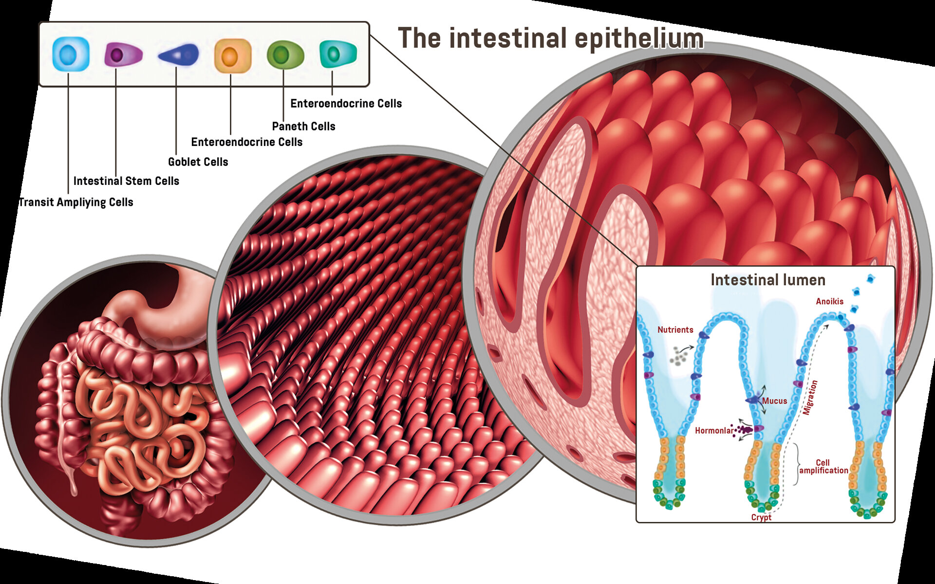 Fasting and Cleaning Fasting and Cleaning